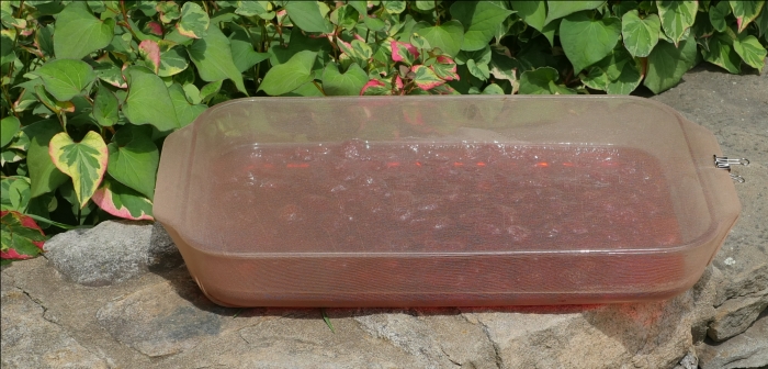 Sun cooked strawberry Preserves on stone wall